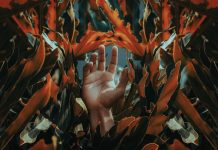 Poems by Paul Tristram