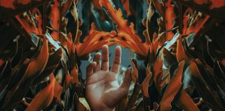 Poems by Paul Tristram