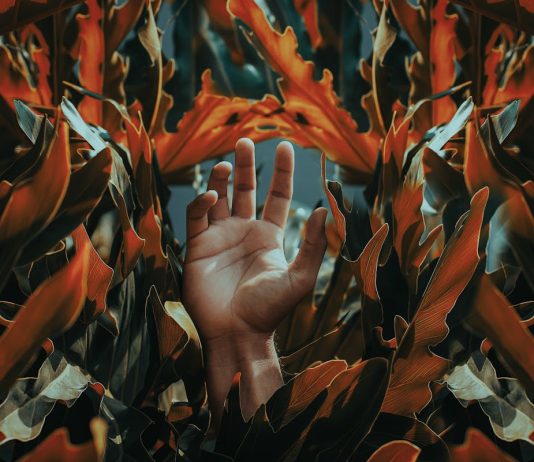 Poems by Paul Tristram