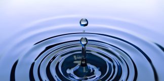 The Water : Spiritual Gender and Environmental Perspectives – By B. Suresh Lal