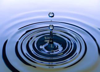 The Water : Spiritual Gender and Environmental Perspectives – By B. Suresh Lal