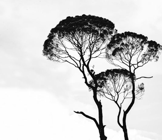 My Brother’s Sister – Itto & Mekiya Outini