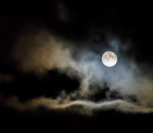 Three Poems by George Freek