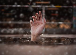 Two Poems by Gary Beck