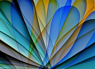 Four poems by Duane Anderson
