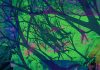 Two Poems by Andrew Shields
