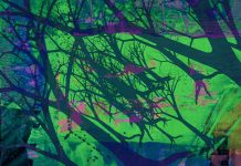 Two Poems by Andrew Shields