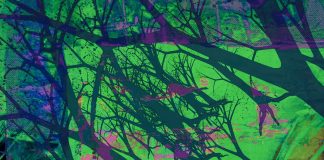 Two Poems by Andrew Shields