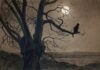 Two Cat Poems – By E. C. Traganas