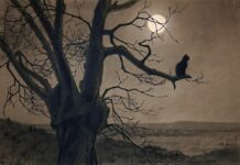 Two Cat Poems – By E. C. Traganas