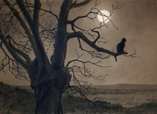 Two Cat Poems – By E. C. Traganas